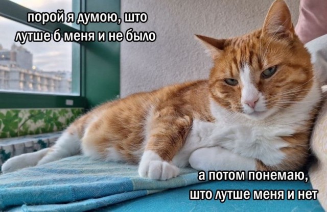 Пятничные бояны