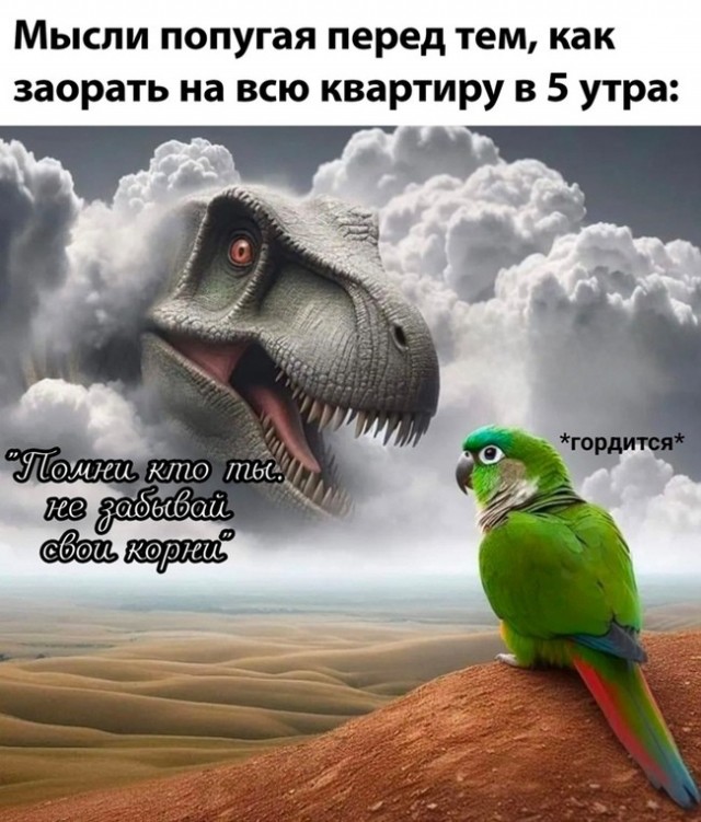 Картинки всякие разные невпопад 1.5