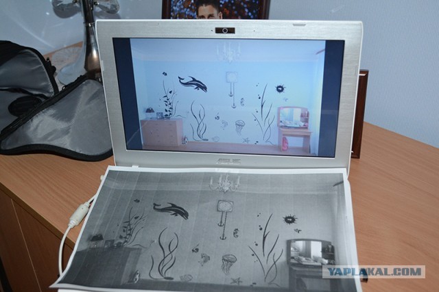 Добавим в жизни, ярких черных красок!