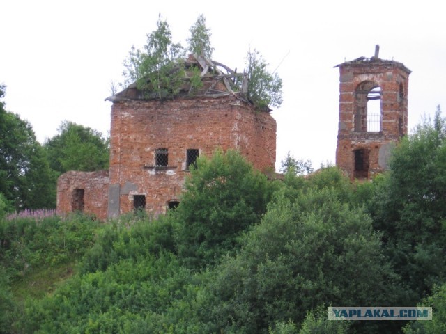 Где они там нашли такую зависимость?