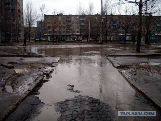 Фотоконкурс National Geographic Photo  2013