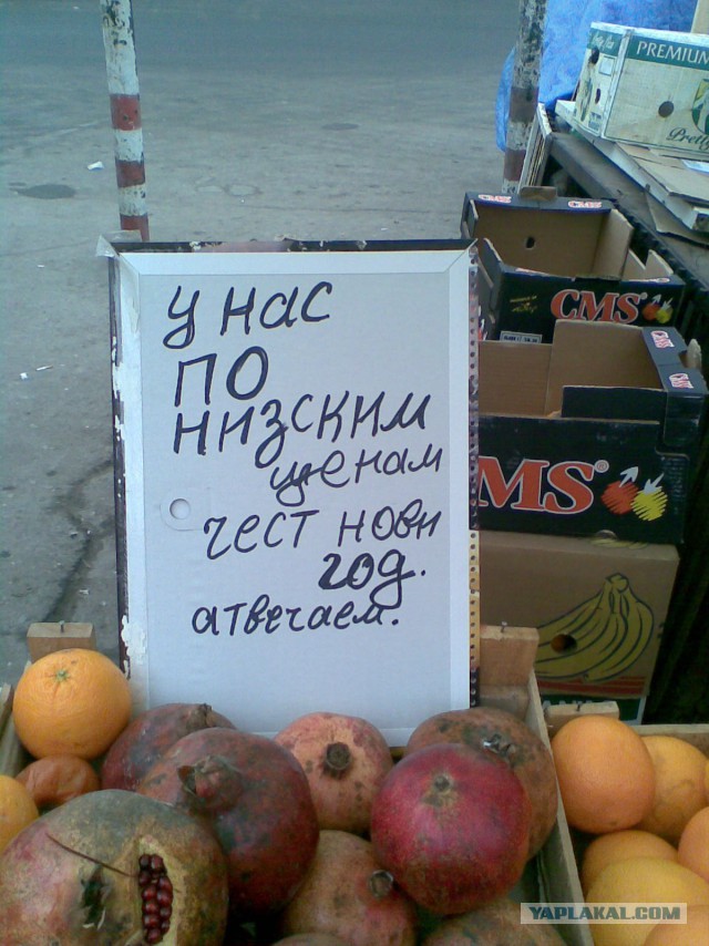 Не оскудеет земля идиотами
