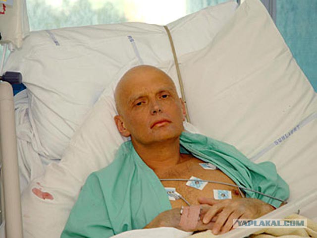 Обосрался ссучара!