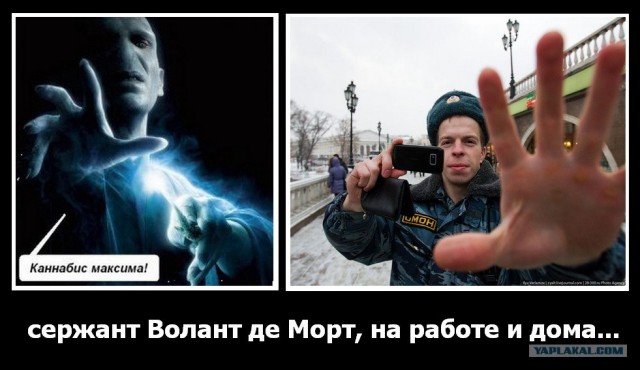 А я... а я... а я тебя тоже сфотографирую, вот!