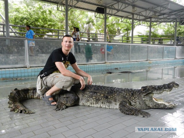 Дружба крокодила с человеком