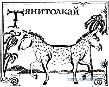 Когда вы плюсуeтe тему в платине