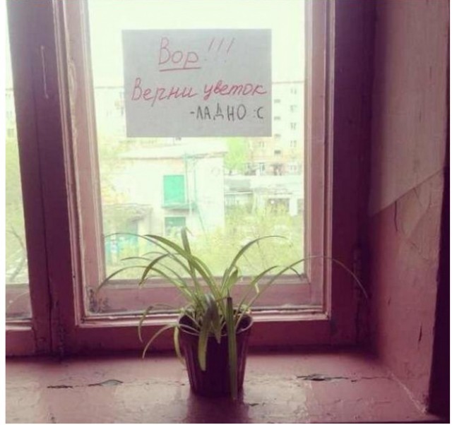 20 объявлений месяца, которыми мы гордимся
