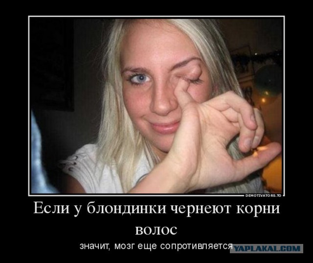 И ведь даму ничего не смутило...