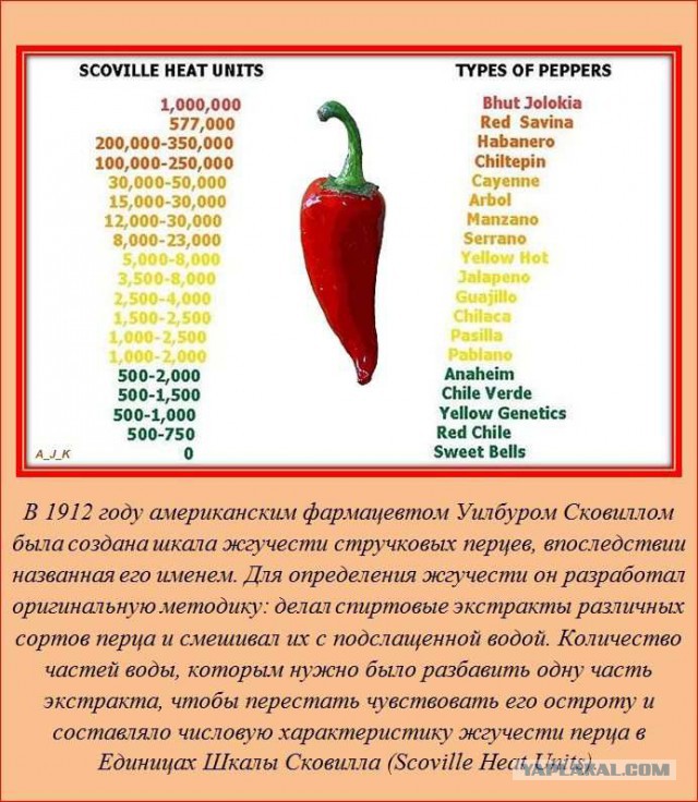 20 фактов обо всем