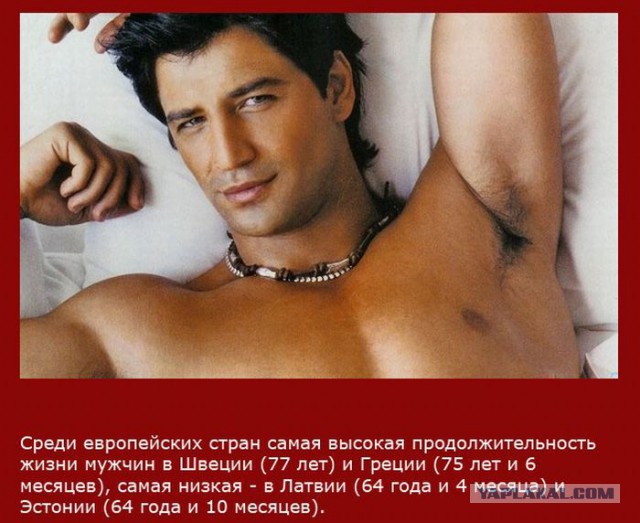 20 фактов обо всем