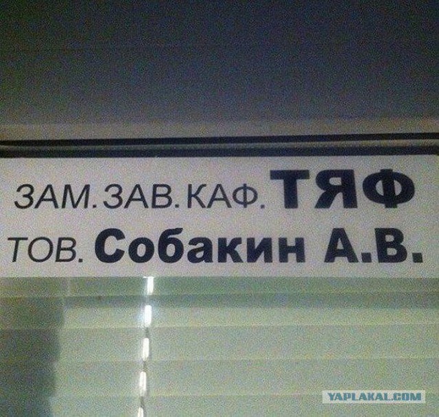 20 случаев, когда фамилия и профессия созданы друг