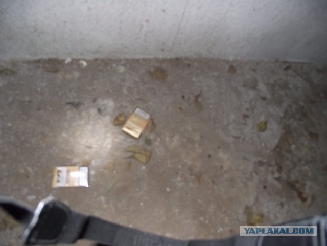 Зашел на днях в подвал.