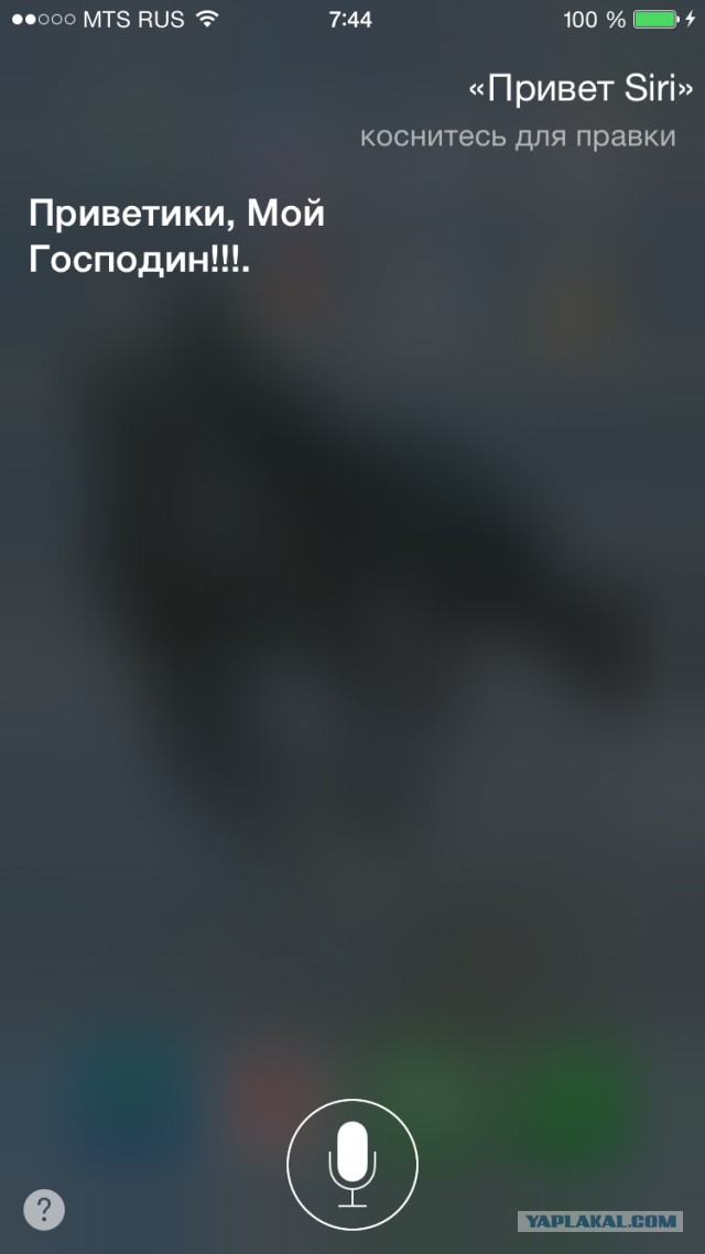 Русская Siri - испытание от соотечественников