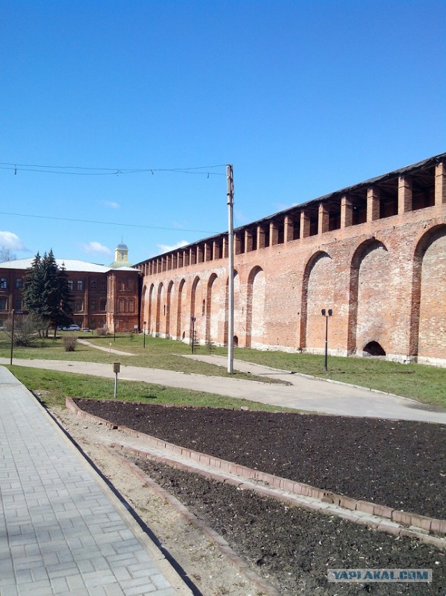 Миграция московского планктона