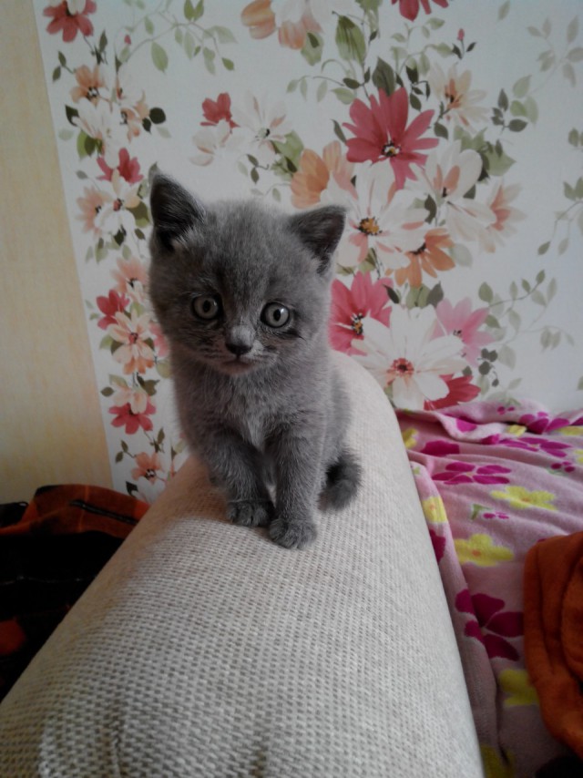 Жизнь боль!