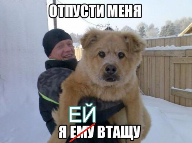Выпросила