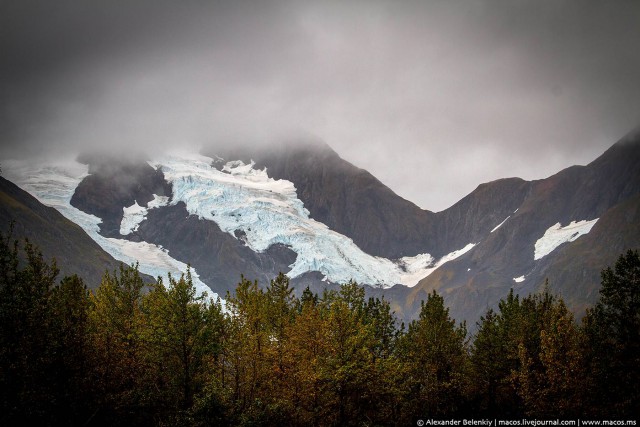 Суровая женщина с оленем в суровом городе Америки