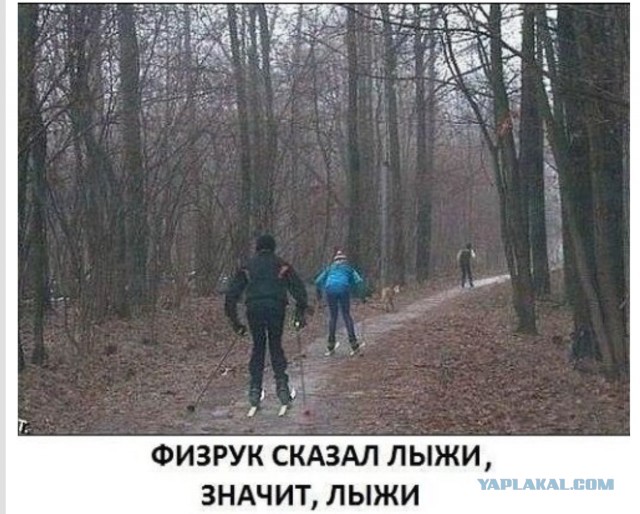 Биатлон. Сезон 2015/2016 часть 2.