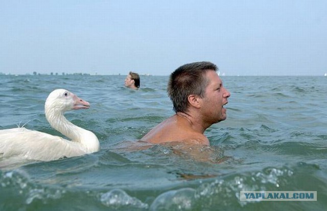 Ничего необычного...