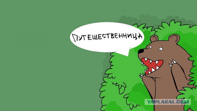 Секс попутчица