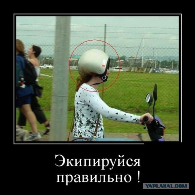 Веселые картинки