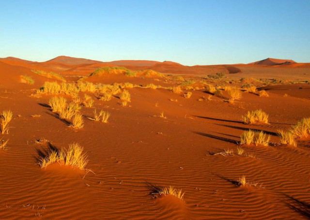 Гранд Каньон в США - древний карьер по промышленной добыче урана