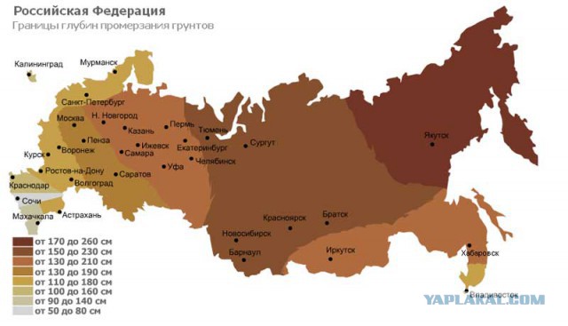 Беда от этих ваших интернетов...