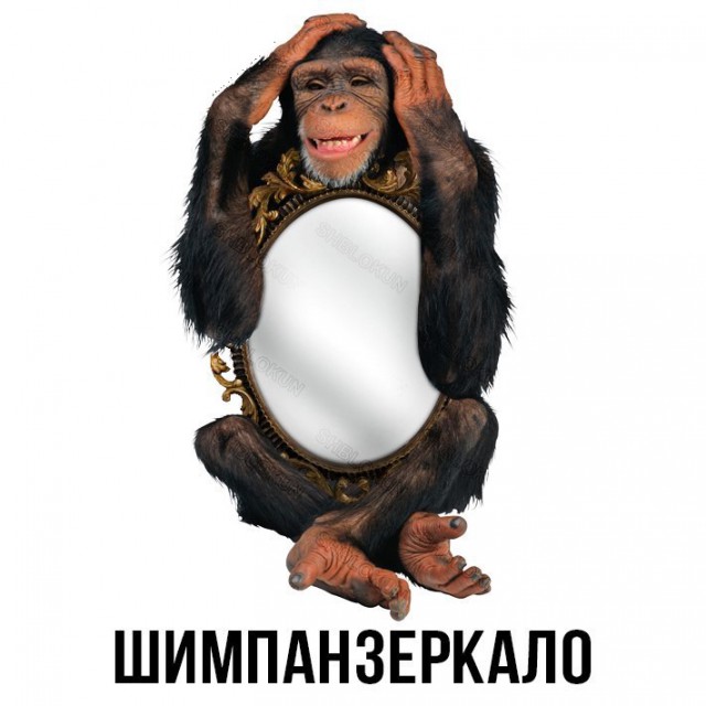 День открытых дверей в палате №6