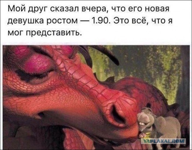 Ужасы и приколы из соцсетей 18+