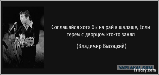 Хижина из тростника (камыша) своими руками