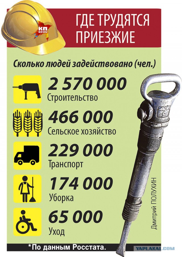 Парадокс нашего рынка труда: Своих безработных полно, а мы мигрантов нанимаем