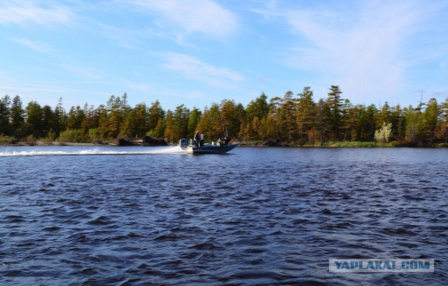 Морское меню Колымского рыбака