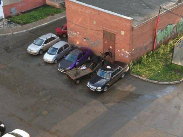 Картинки всякие для поднятия настроения!