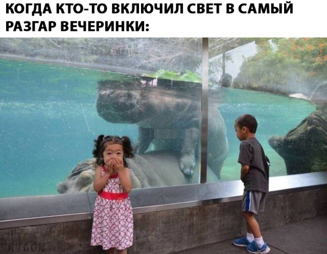 Немного пошлого юмора 2