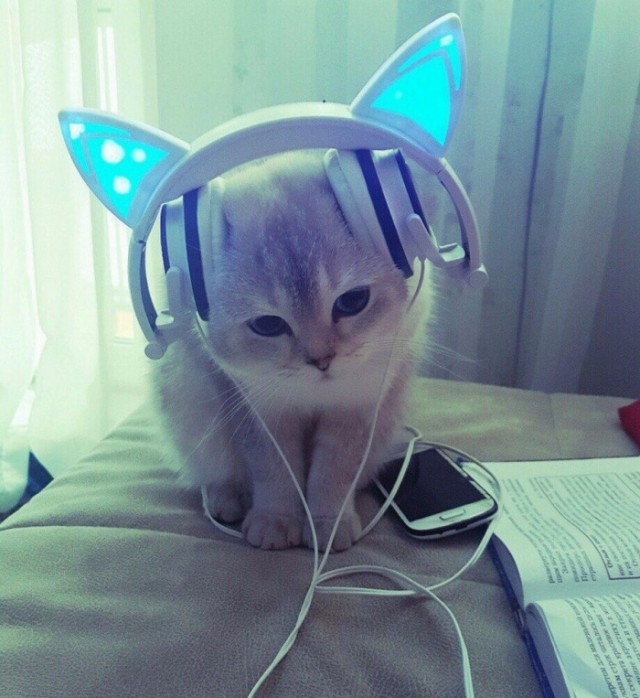 Немного милоты