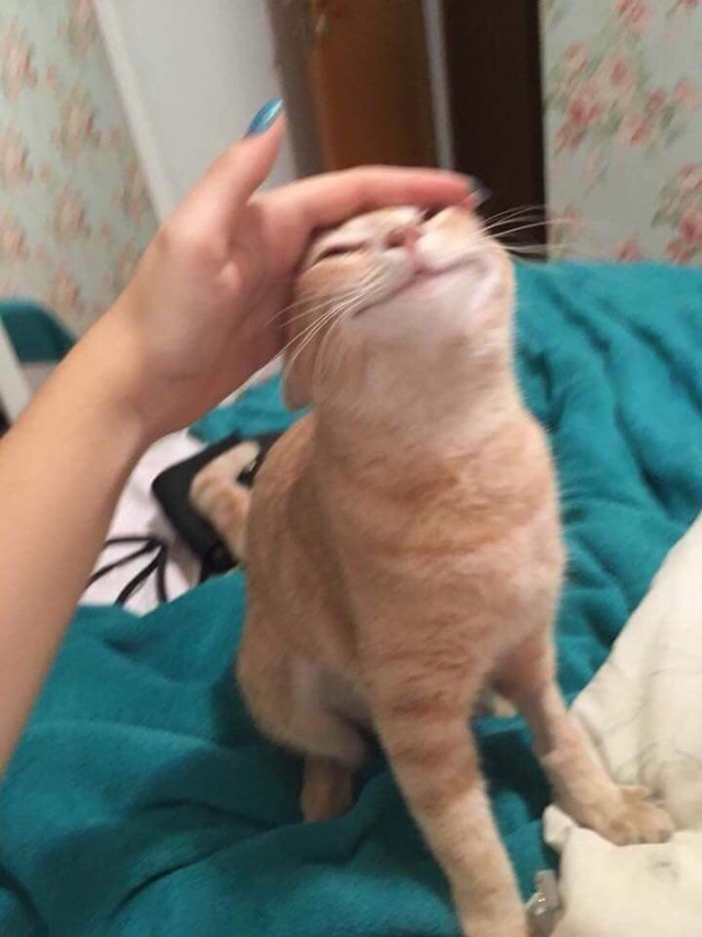 Немного милоты