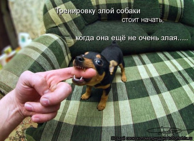 Он сейчас перегрызет ей горло!