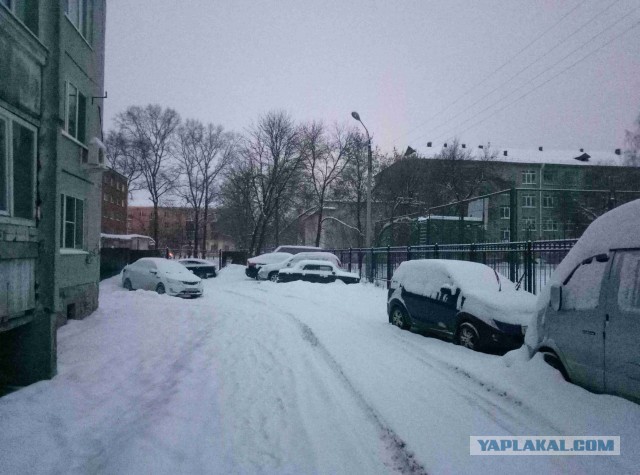 Север. Холодно. 2019