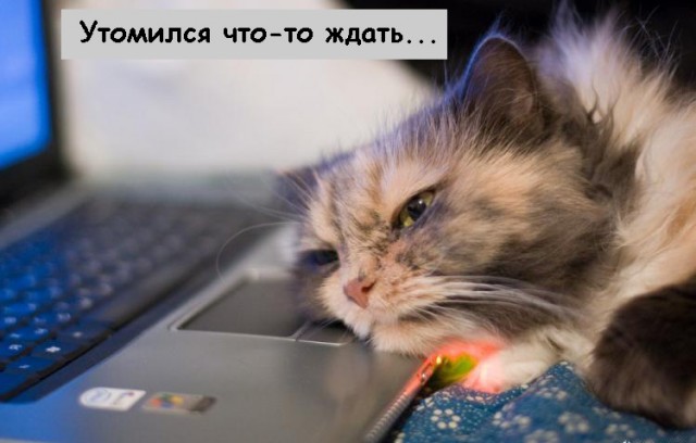 Дорогие господа фотожаберы!