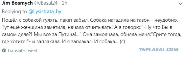 Видео: мужчина избил женщину и ее собак в Москве