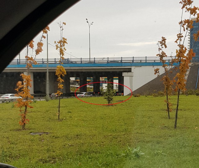 Это грех не выложить! Ежедневный рейд "Трезвый водитель" от ГИБДД СВАО