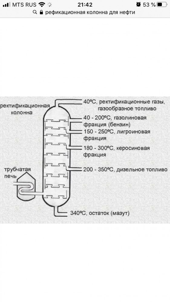 Путина удивил рост цен на бензин