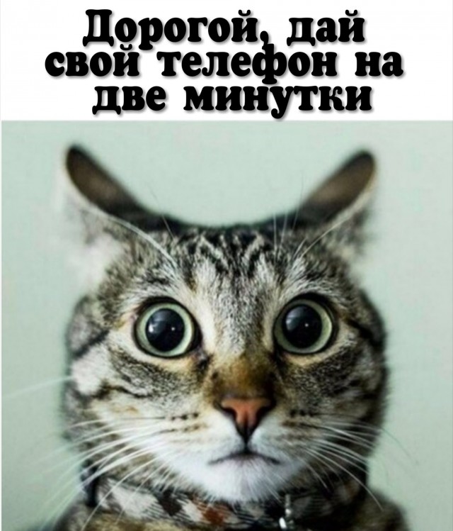 Чуток картинок не про вирус  12.0