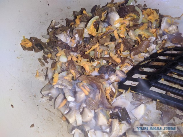 Лепешка, с грибами и сыром.