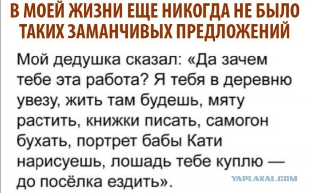 Картинки с надписями фразы и анекдоты