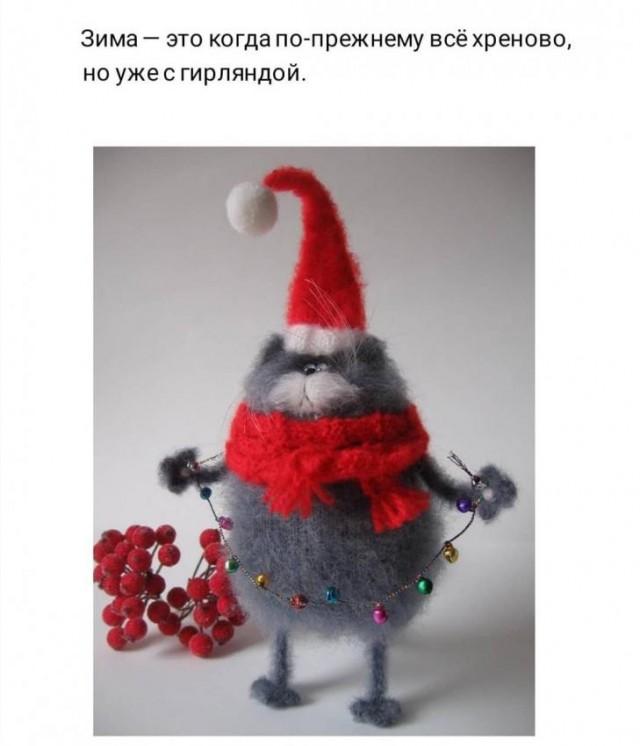 Бредзона 25.12.20