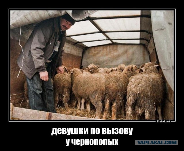 Дагестанец зарезал двух проституток, а затем тяжело ранил майора полиции