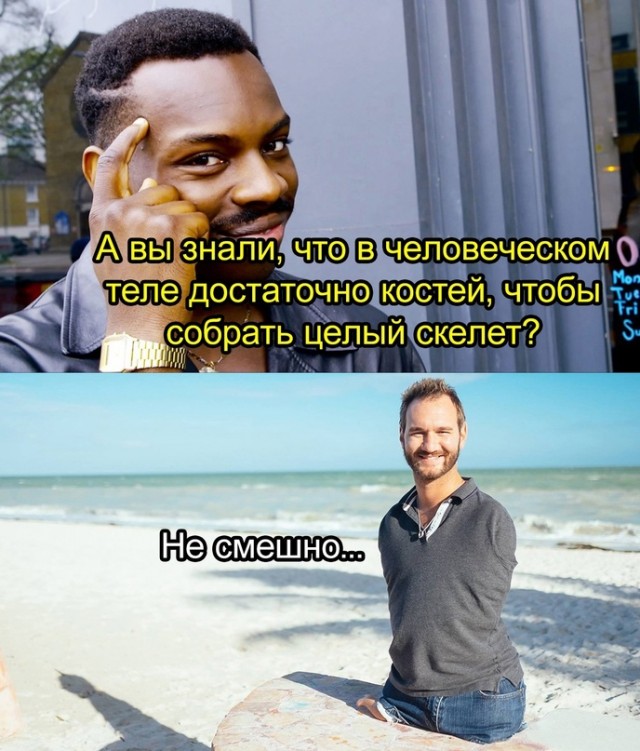 Весёлый полтишок 26.04