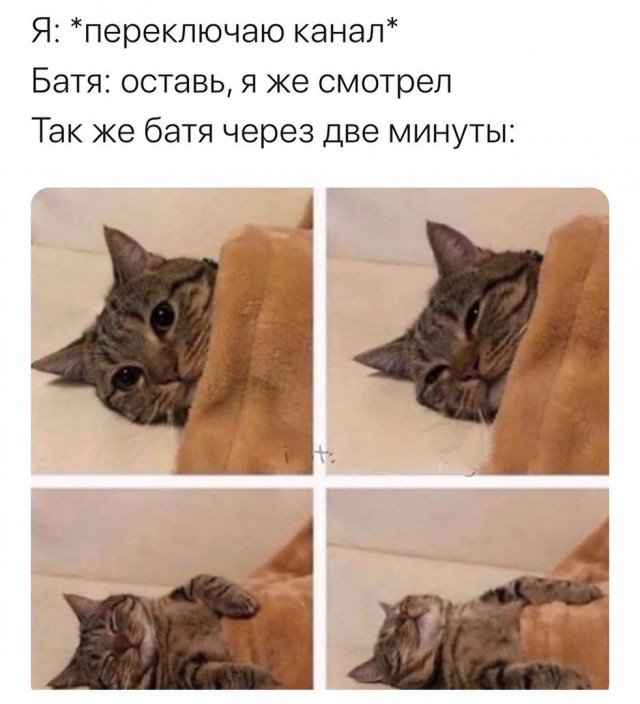 Так себе картинки 07.06.21
