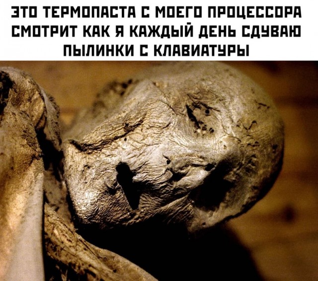 Весёлый полтишок 18.07
